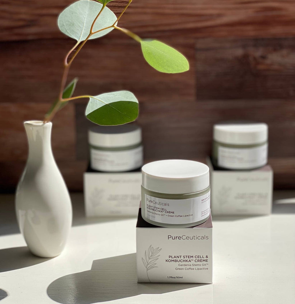 Plant Stem Cell & Kombuchka Crème