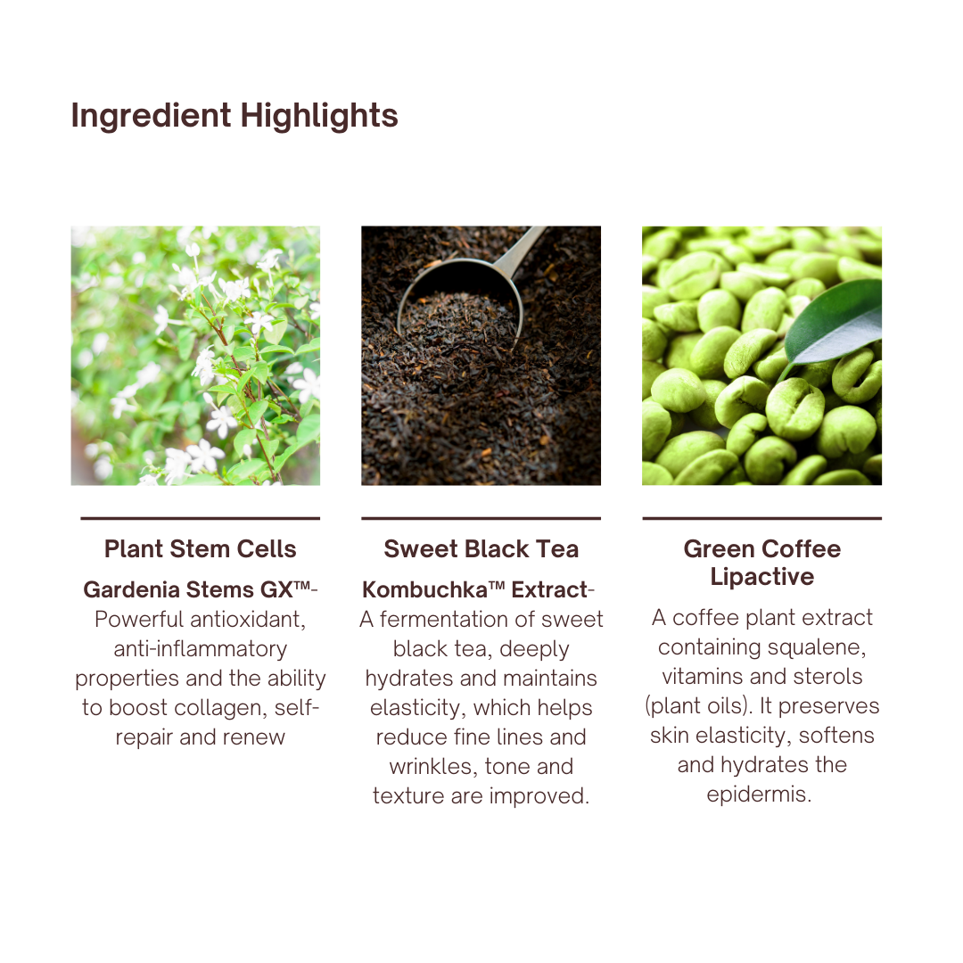 Plant Stem Cell & Kombuchka Crème
