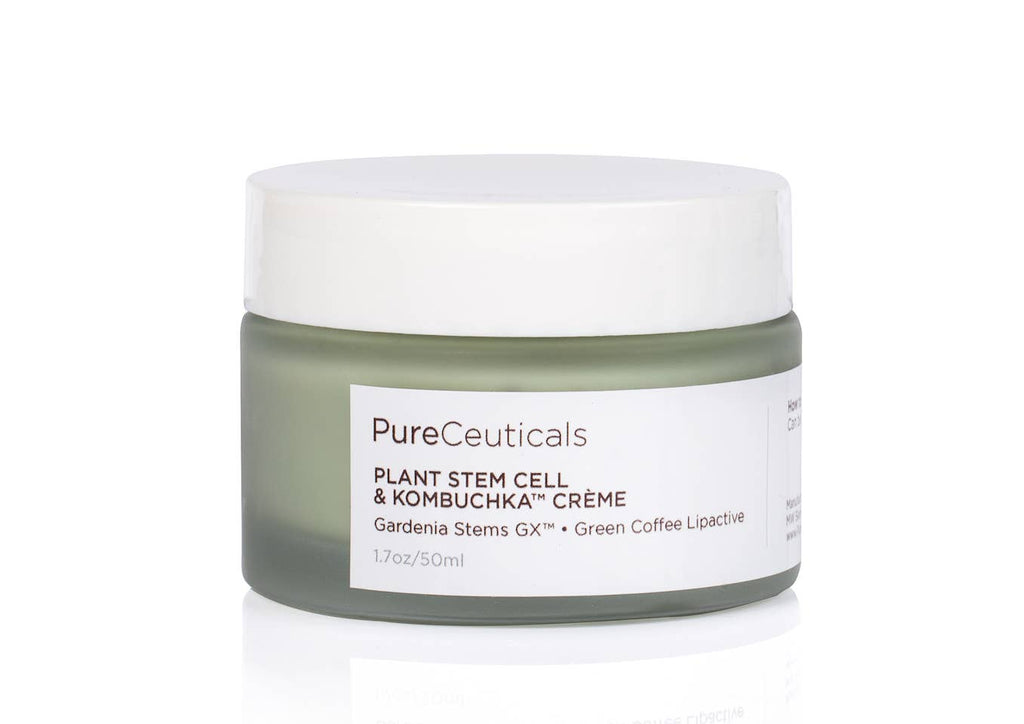 Plant Stem Cell & Kombuchka Crème