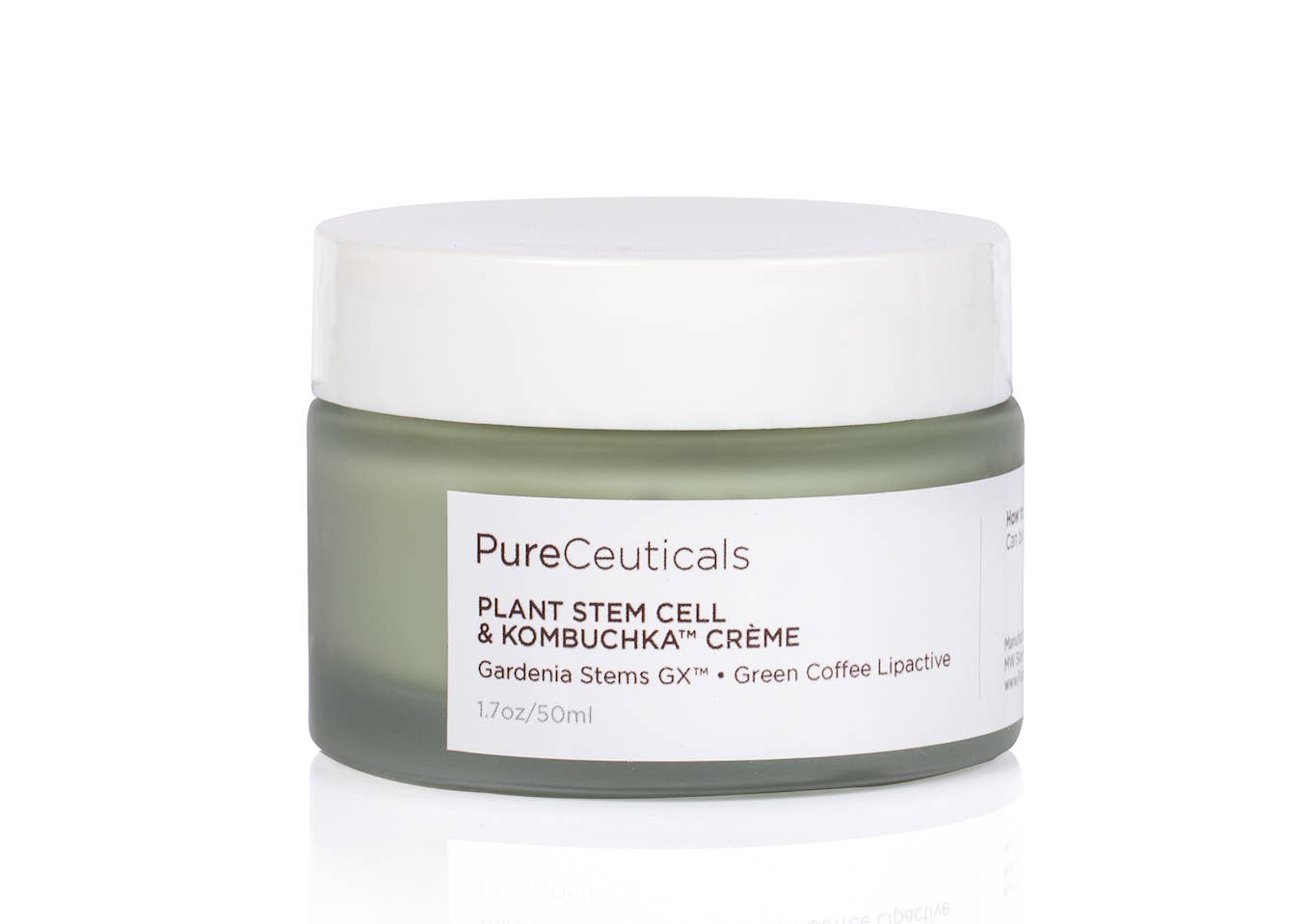 Plant Stem Cell & Kombuchka Crème