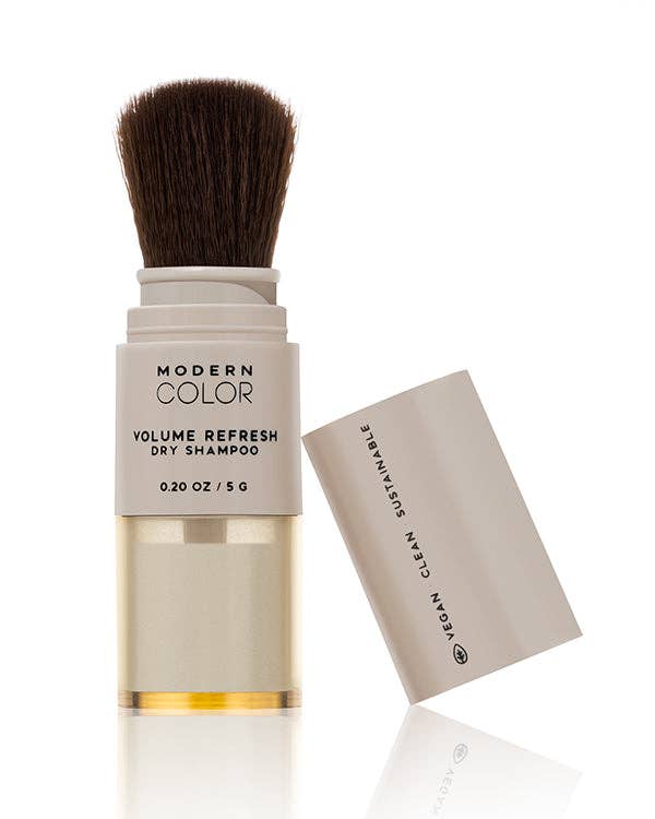 Volume Refresh Dry Shampoo Powder Brush
